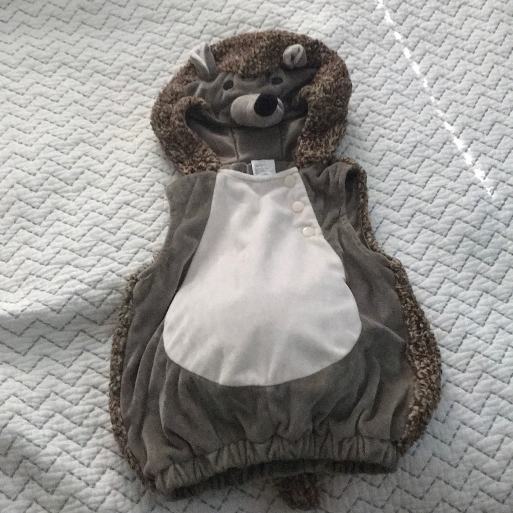 Toddler Hedgehog Halloween Costume!